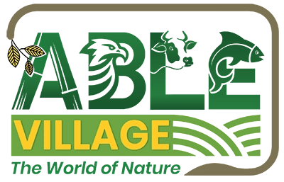 Able Village Logo